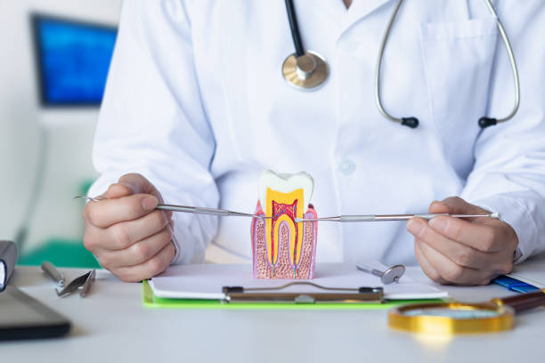 Best Cracked Tooth Emergency Dentist  in Escatawpa, MS